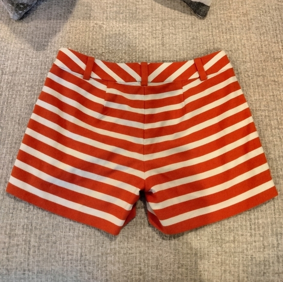 Ann Taylor Striped Shorts - Picture 3 of 6